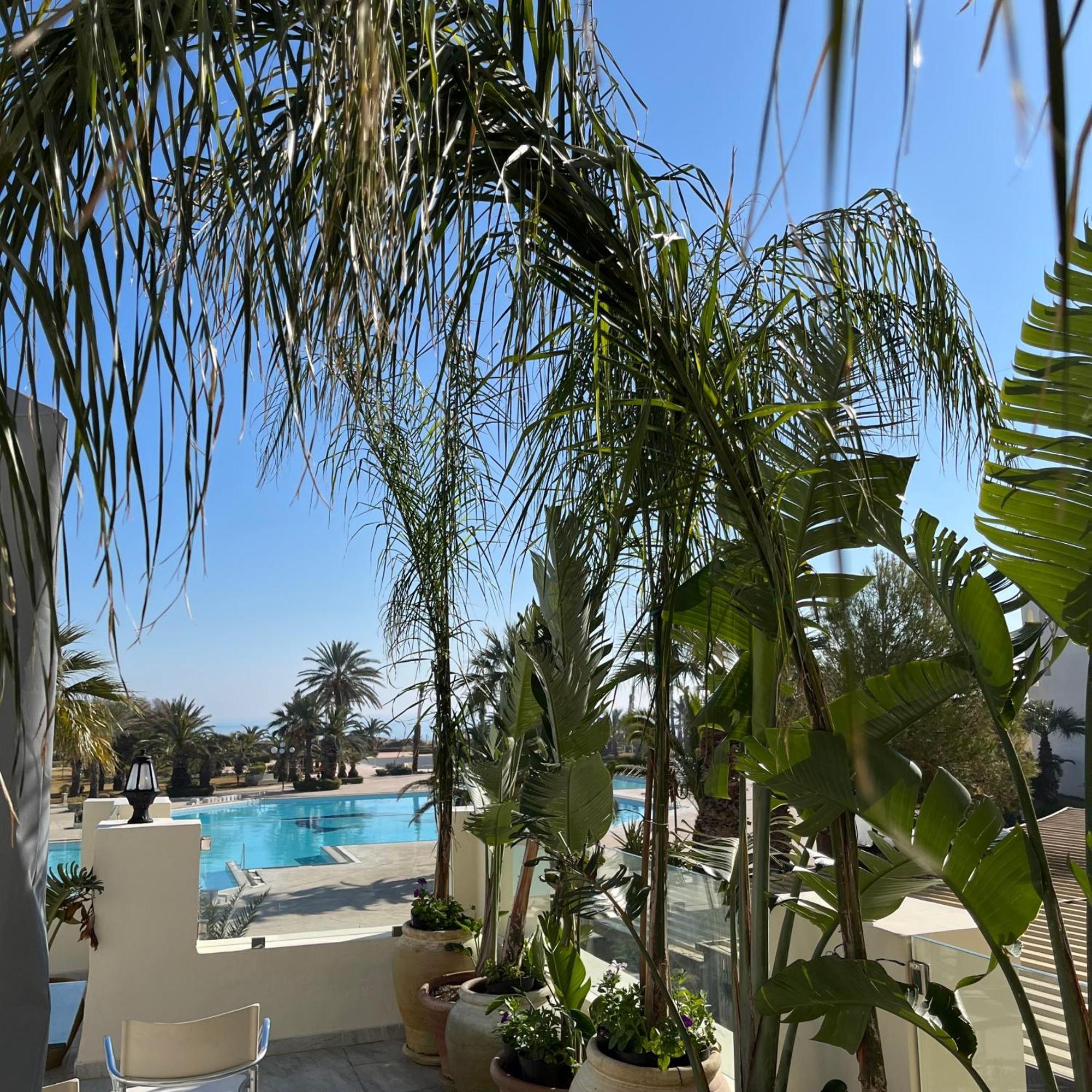 Sentido Marillia Resort & Spa Yasmine Hammamet Exterior photo